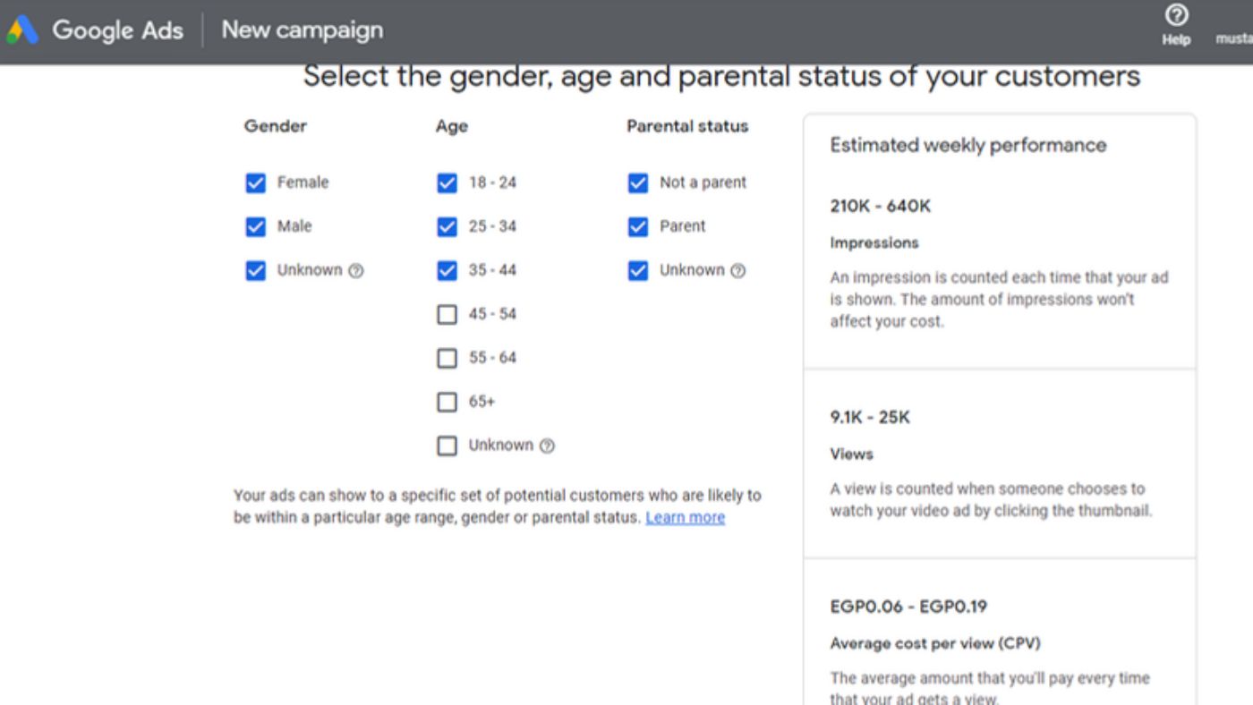 Google Ads draft: audience settings and platform forecast